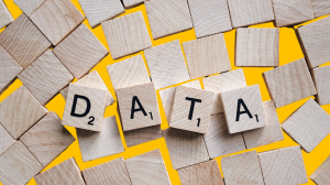 Data Privacy Principles and Data Subject Rights in the Philippines