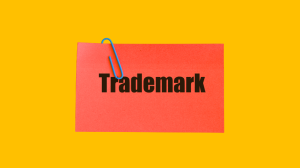 Trade Name vs. Trademark: What Is the Difference?