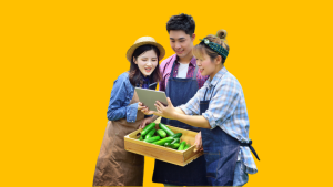 How to Process CDA Registration for a Cooperative in the Philippines (Step-By-Step Guide)