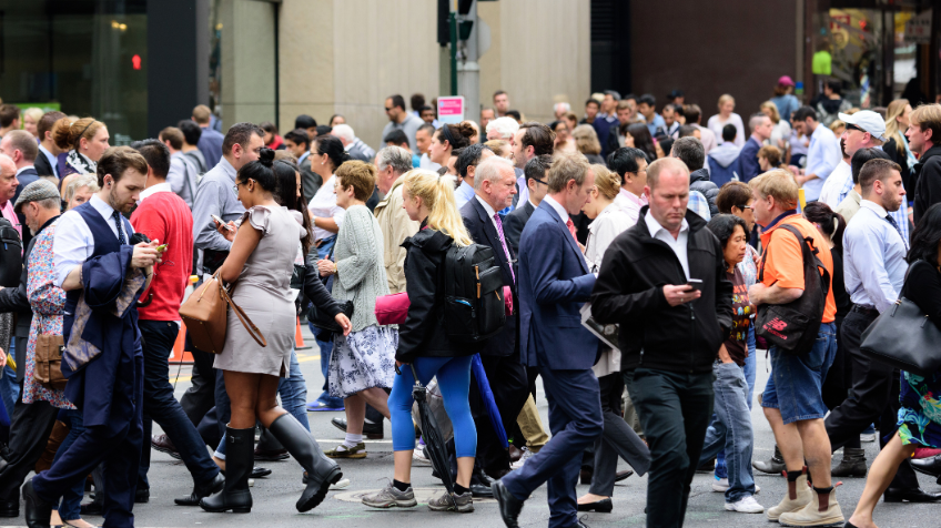 Global Dataset Check: Verifying Cross-Border Information of International Talent and Partners