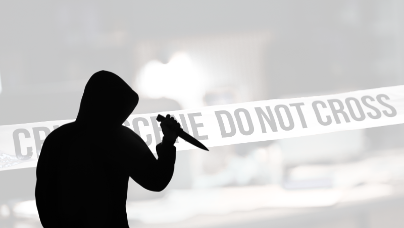 Criminal background verification